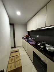 Kopar At Newton (D9), Apartment #503998141